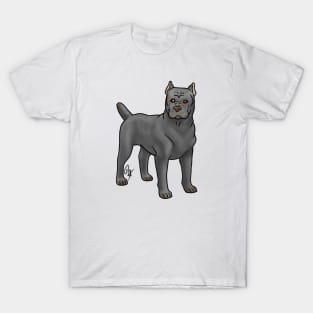 Dog - Cane Corso - Cropped Gray T-Shirt